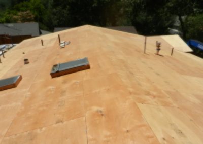 Roofing Project with Skylights